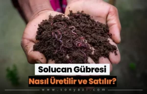 Solucan Gübresi Nasıl Üretilir
