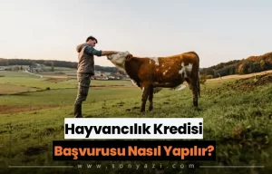 Hayvancılık Kredisi