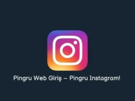 Pingru WEB Giriş Nasıl Yapılır?